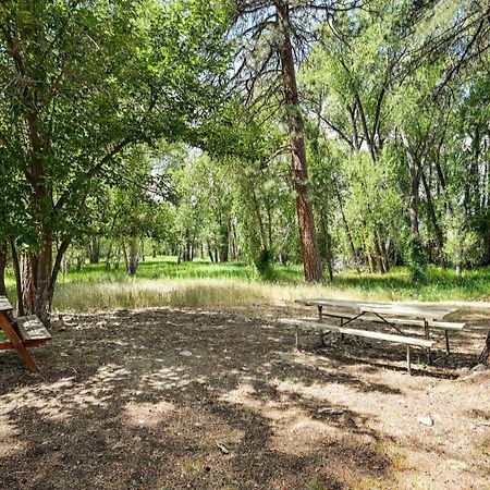 Rustic Cabin Near Downtown Bv And Arkansas River! Buena Vista Buitenkant foto