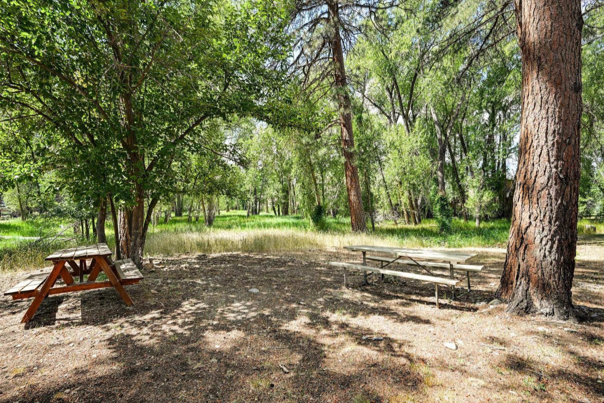 Rustic Cabin Near Downtown Bv And Arkansas River! Buena Vista Buitenkant foto